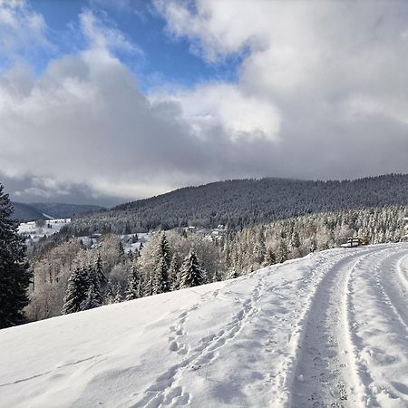Sonnenstrahl Lägenhet Todtmoos Exteriör bild
