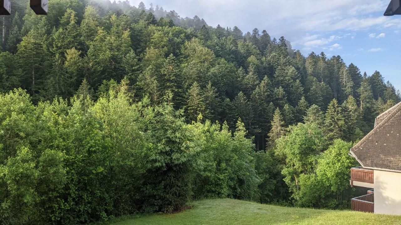Sonnenstrahl Lägenhet Todtmoos Exteriör bild