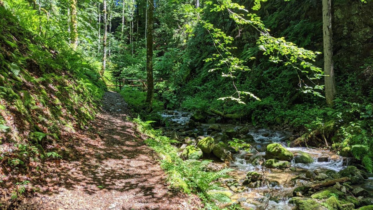 Sonnenstrahl Lägenhet Todtmoos Exteriör bild