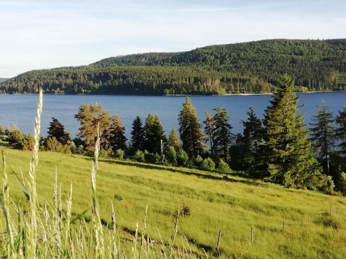 Sonnenstrahl Lägenhet Todtmoos Exteriör bild