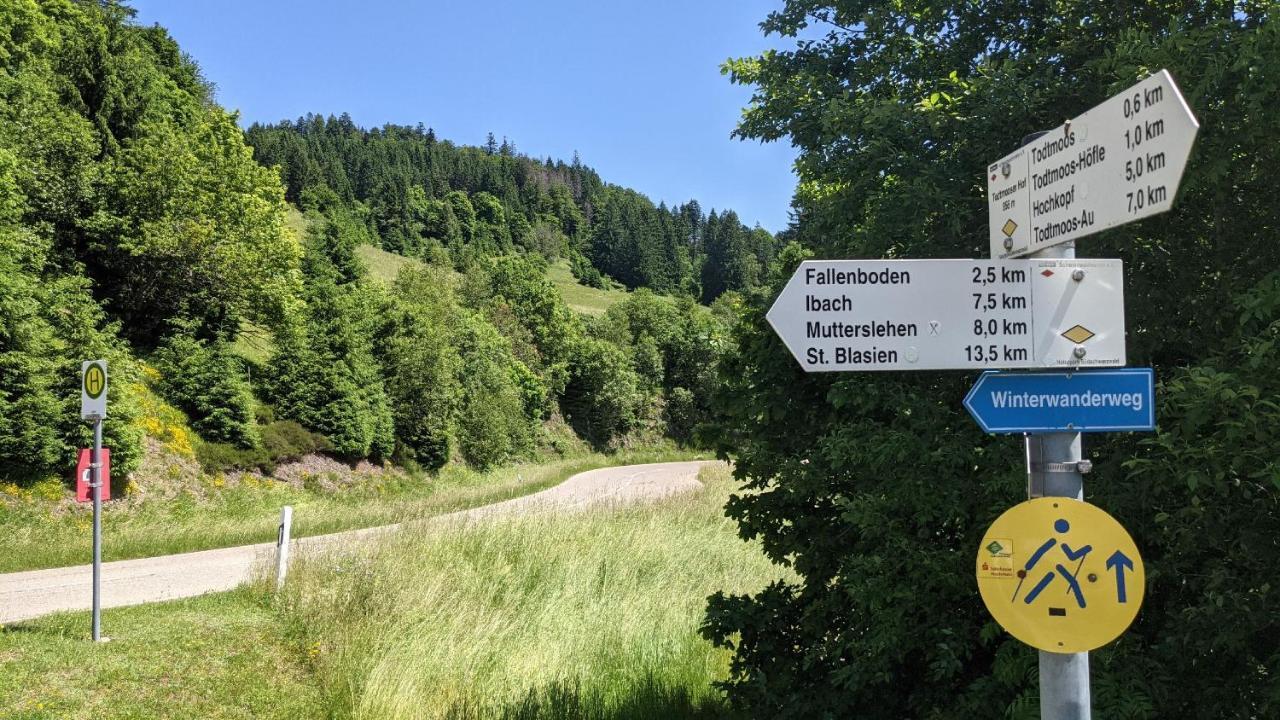 Sonnenstrahl Lägenhet Todtmoos Exteriör bild