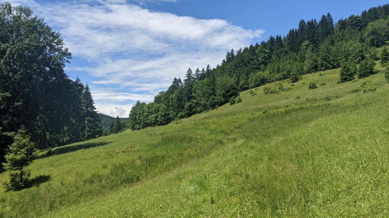 Sonnenstrahl Lägenhet Todtmoos Exteriör bild