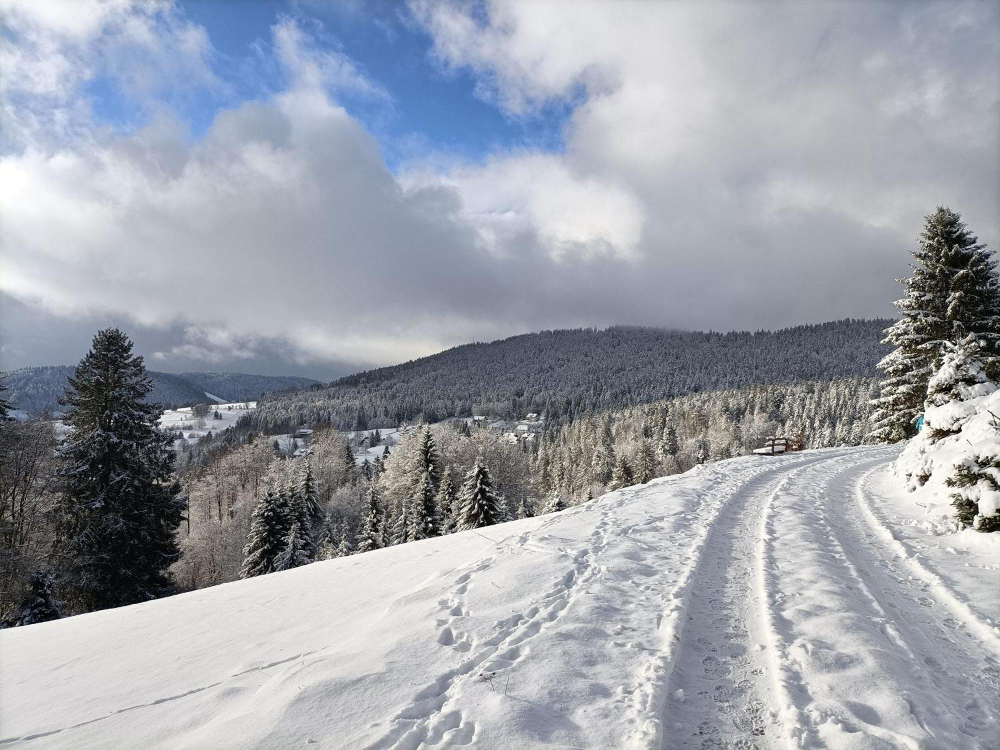 Sonnenstrahl Lägenhet Todtmoos Exteriör bild